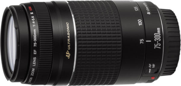 Canon EF 75-300 mm 1:4-5,6 IS